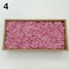 Neue 50/30/10g Künstliche Grüne Pflanzen Ewiges Leben Moos Gras Heim Garten Dekoration Mini Landschaft Künstliche Blume DIY Bastelgeschenke