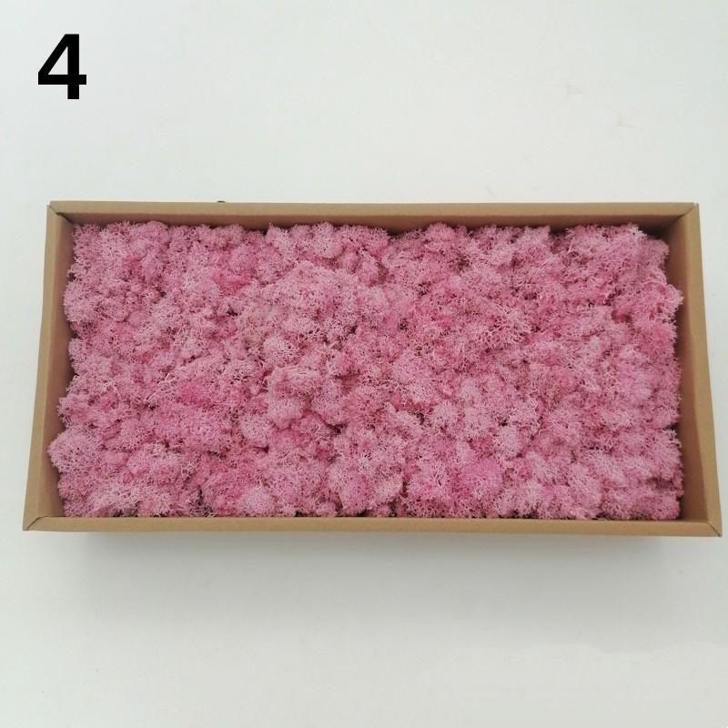 Neue 50/30/10g Künstliche Grüne Pflanzen Ewiges Leben Moos Gras Heim Garten Dekoration Mini Landschaft Künstliche Blume DIY Bastelgeschenke