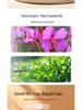 Three Lives Flower Essential Oil Shampoo & Body Wash: Anti-Dandruff, Anti-Itch Conditioner for Women, Softening Fragrance