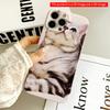 2DFlat Silver Tabby Cat Gazing Up All Inclusive Film Hard iPhone Case, Compatible with iPhone 18 Pro Max 17 16 15 14 13 12 11