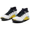 Air Jordan 17 Low "Lightning" Jordan FJ0395-100