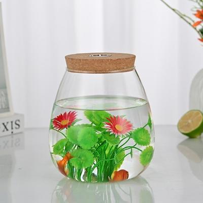 Glass Material Glass Planter Thick Wooden Base Water Cultivation Vase Modern Tabletop Design Flower Arrangement Vase