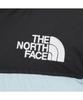 The North Face Nj1Dr65E Men'S 1996 Retro Nuptse Jacket Light_Blue