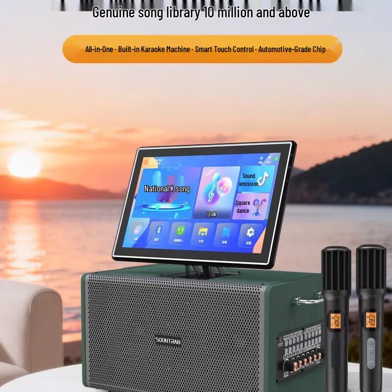 SS1-206 Portable Outdoor Karaoke Speaker: High-Power All-in-One Singing Machine
