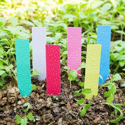 200Pcs Plant Labels Gardening Plant Identification Tags PVC Waterproof Easy To Write Multicolor