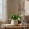 Climbing Plant Trellis Gold Metal Support Tall Slim for
