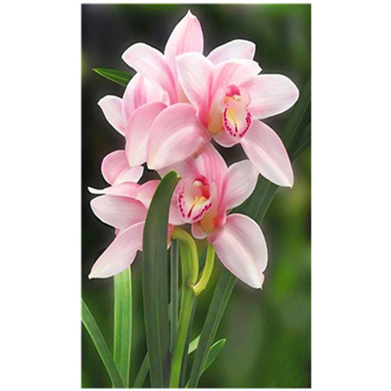 30X40CM 5D Diy Diamond Painting Various Flowers Embroidery Cross Stitch Home Decor Handmade Gift