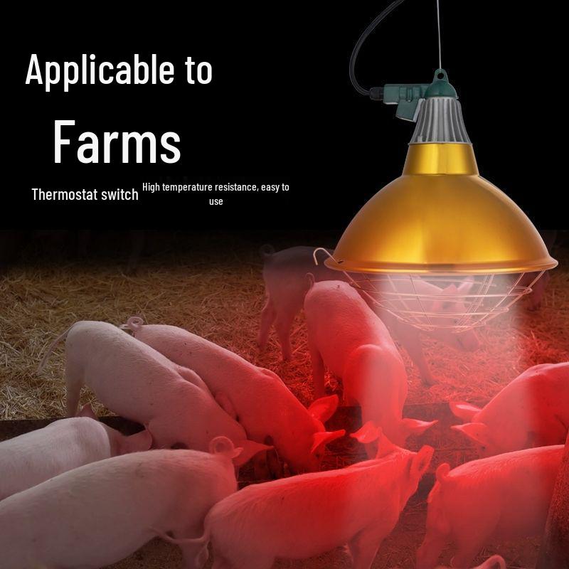 Adjustable Waterproof Metal Heat Lamp for Pets and Piglets