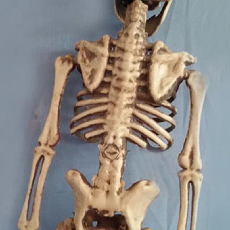 Human Skeleton Scary Skull Haunted House Halloween Prop Party Decor Atmosphere