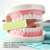 Teeth Chewies Orthodontics Bite Teeth Chewies Orthodontics Retainer Oral Care
