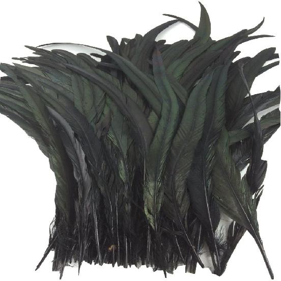 Nature Rooster Coque Tails Feathers Costume Craft Decoration 12-14inch Pack of 25 (black)
