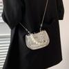 Pearl Chain Small Bag for Women New Trendy Mini Bag Silver High-Quality Texture Niche Crossbody Bag