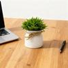 Artificial Plants in Hemisphere Pot Mini Potted Green Plants for Home Desk Decoration Indoor Outdoor Decor B2U3