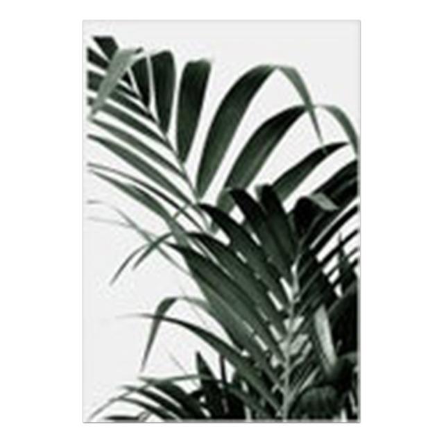 

Модные плакаты и принты, листья, растения, галерея, настенный художественный декор, черные губы, холст, картина, цитаты, настенная картина для гостиной 21cm×30cm NoFrame