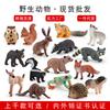 Simulation 16Pcs Forest Animal Model Squirrel Chipmunk Hedgehog White-Tailed Deer Cake Decoration Static Ornament