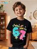 Літня футболка для дітей, подарунки на день народження, короткі рукави, футболки з круглим вирізом, графічний дитячий одяг