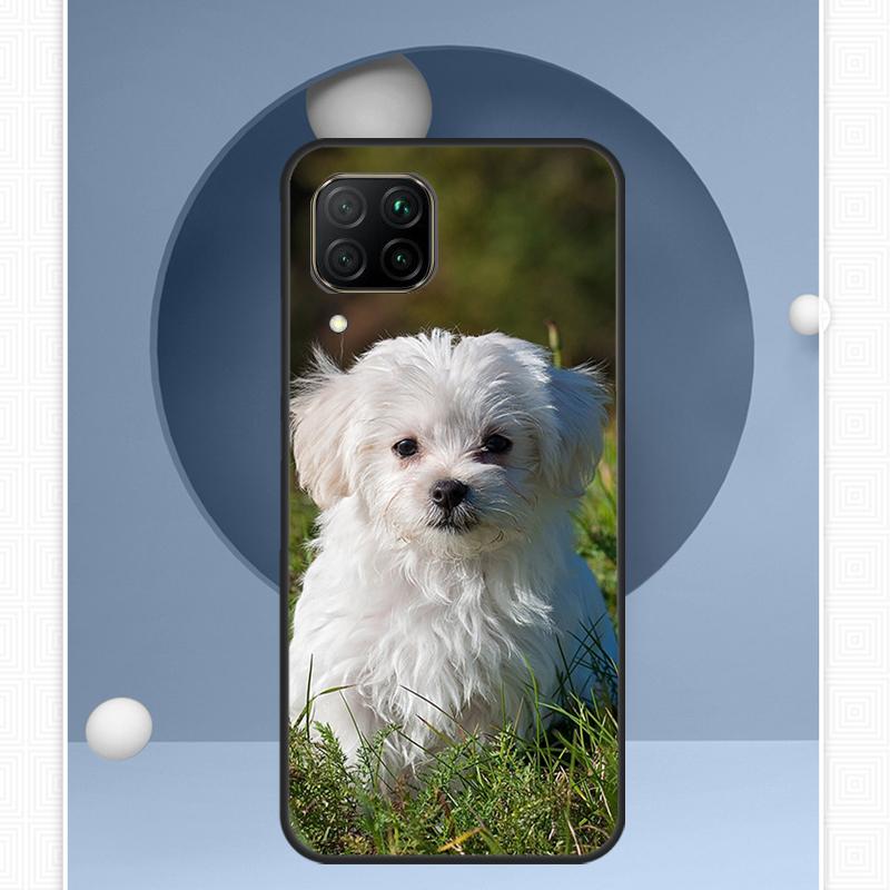 Maltese Dog Puppies For Huawei Nova Y91 Y60 Y70 Y72 Y90 Y61 12s 12i 11i 8i 10 9 SE P20 P40 Lite P30 P60 Pro Case