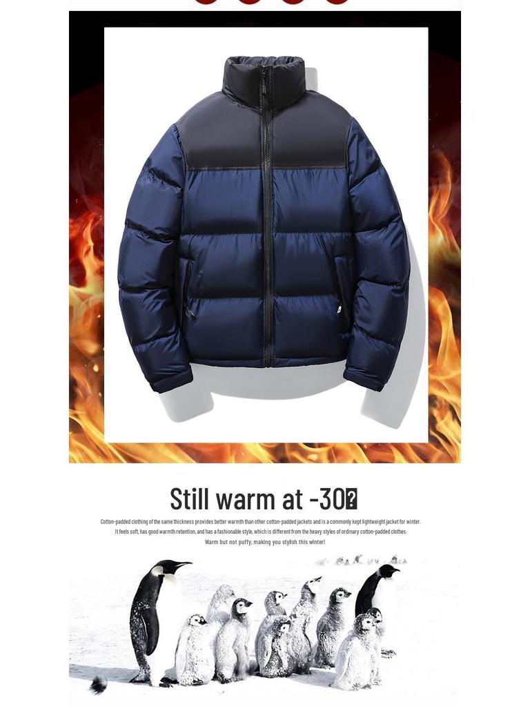 Men's Hong Kong Style Autumn/Winter Down Cotton Jacket - Stand Collar, Thickened, Casual, Versatile Outerwear
