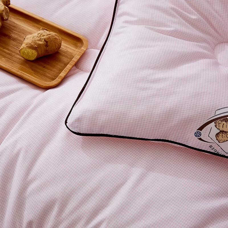 Muxinzi Warm Soft Winter Quilt