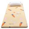 7L Winter Mattress Topper - Dorm, Student, or Kids' Single Bed Mat