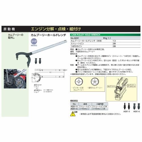 Kyoto Tool (KTC) Cam Pulley Hold Wrench AE81