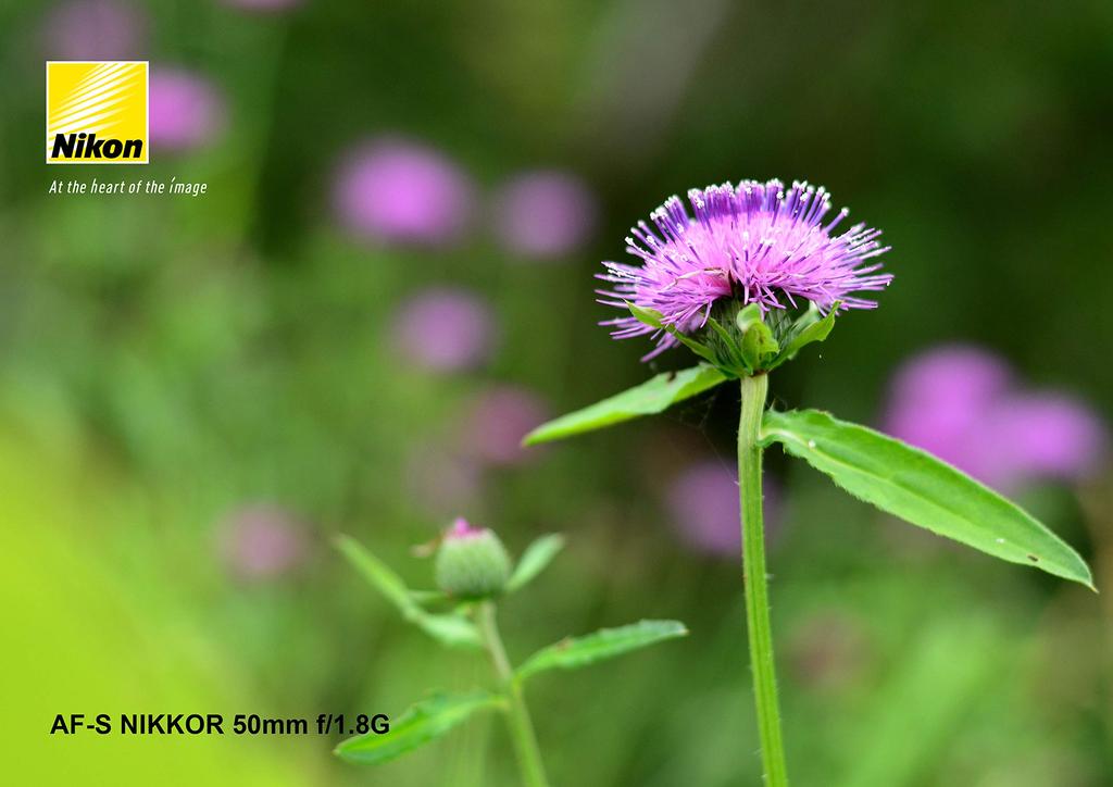 Nikon NIKKOR 50mm Prime Compatible AF-S f/1.8G Lens, Full-frame