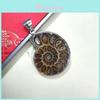 Shell Pendant With Polished Shell Beads For Style Jewelry