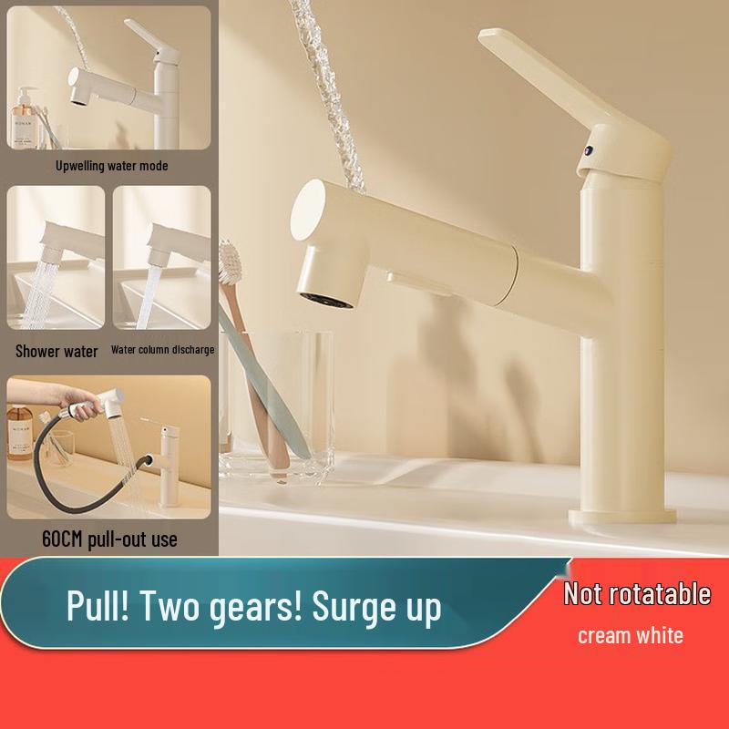 Xuan Yong Pull-Out Basin Faucet