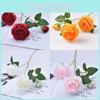Ranunculus Asiaticus Artificial Flower Decor With Silk Material For Home Wedding Photography