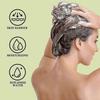 Rosemary Hair Growth Shampoo for Hair Loss, Thinning Hair for Men and Women - Rosemary Mint Strengthening Shampoo with Tea Tree Oil Bition