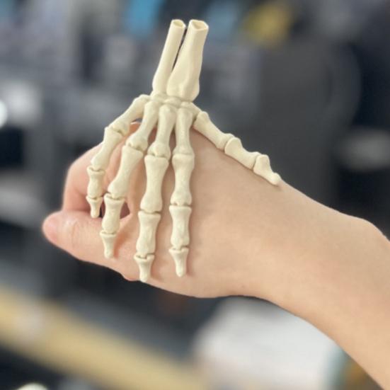 Halloween Skjeletthånd 3D-printet Plast Menneskehånd Beinmodell Skumle Halloween Triks Rekvisitter for Borddekking Festartikler Spøkelseshus Hjemmedekor