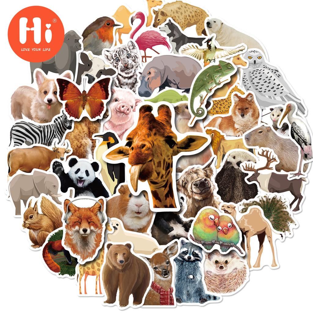 50ks nových samolepek Roztomilé samolepky Samolepky na notebooky a mobilní telefony