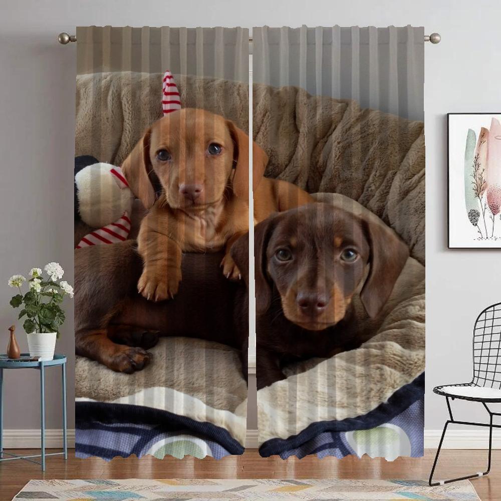 Dachshund Home Interior Curtains 2 Pieces Modern Living Room Curtains for Camera Tulle for Bedroom Blackout Curtain Shades Child