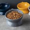 Double-Eared Slanted Ceramic Cat Bowl - Matte Glaze, Anti-Black Chin, Cervical Spine Support, Cute Design
