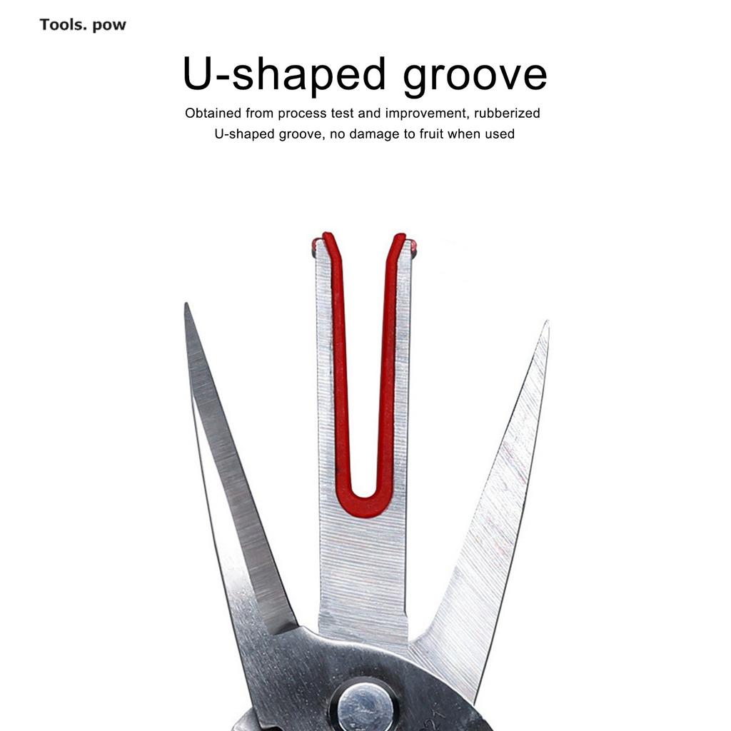 Fruit Picking Scissors Garden Double-edged Apple Picking Scissors Kiwi Pear Thinning Scissors Double Mouth Thinn Shear Hand Tool