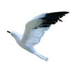 Artificial Feather Seagull Bird Artificial Flying Bird Figurine Home Yard Hallway Garden Hanging Ornament Fake Seagull Sculpture