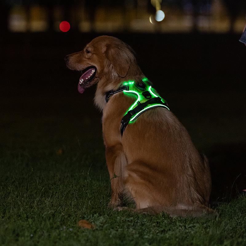LED Flashing Dog Vest with USB Charging and Explosion-Proof Design