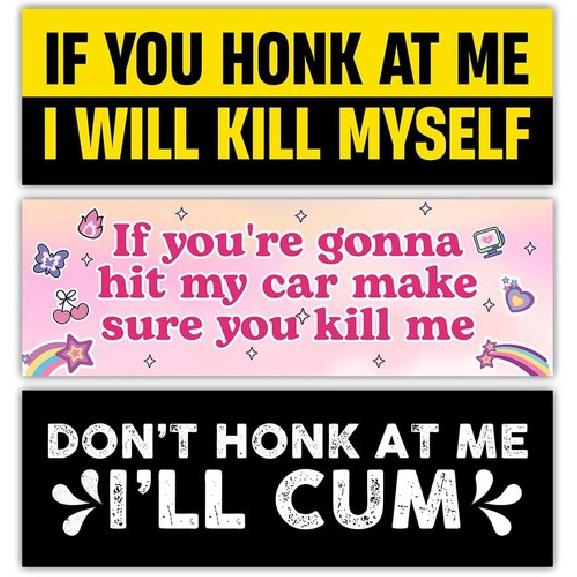 [10 X3 ] If You Honk at Me I Will Kill My Self Bumper Sticker If You re Gonn