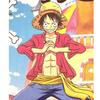 EVERSOUL ONE PIECE Sombrero de Paja Corto Talla de Personaje L Camiseta, Manga, LUFFY, Sanji, Luffy, Chopper, Nami, Piratas, Zoro, Merchandising, Anime, Hombre,