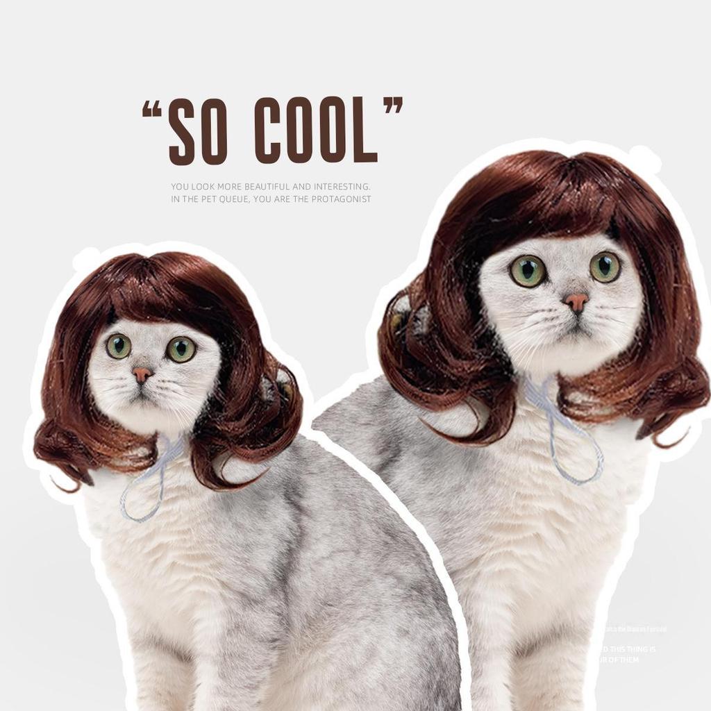 Holiday Party Pet Wig: Long Curly Cat Hairpiece