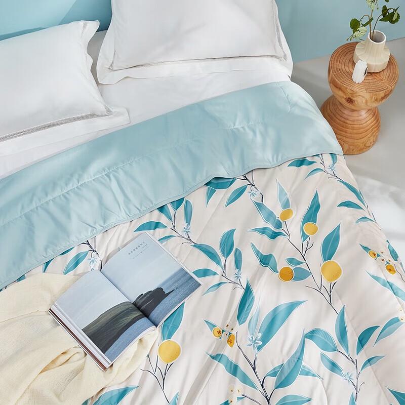 LUOLAI Ice Silk Summer Quilt