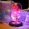1 Gold Foil Rose Glass Cover Eternal Flower Night Light Qixi Festival Valentine's Day Gift Creative Ornament Factory