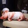 40~130cm Cosplay Pig Cartoon Animal Plush Throw Pillow Stuffed Miss Chef Cowboy Piggy Cushion Sofa Chair Decor Gift