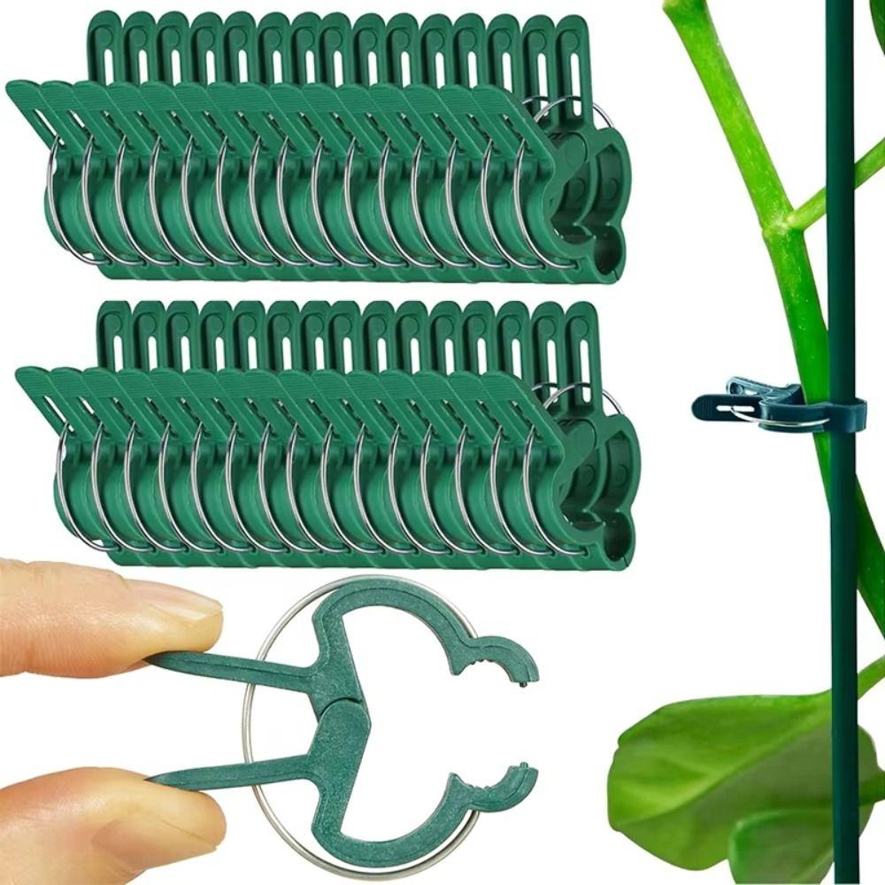 10Pcs Lever Ring Garden Plant Support Clips Durable Plastic Green Lever Ring Clips  Fixed Plants