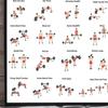 3Pcs Home Workout Poster Set with Dumbbell Bodyweight Barbell Exercises Full Body Strength Training Guide for Beginners Advanced Laminated Fitness