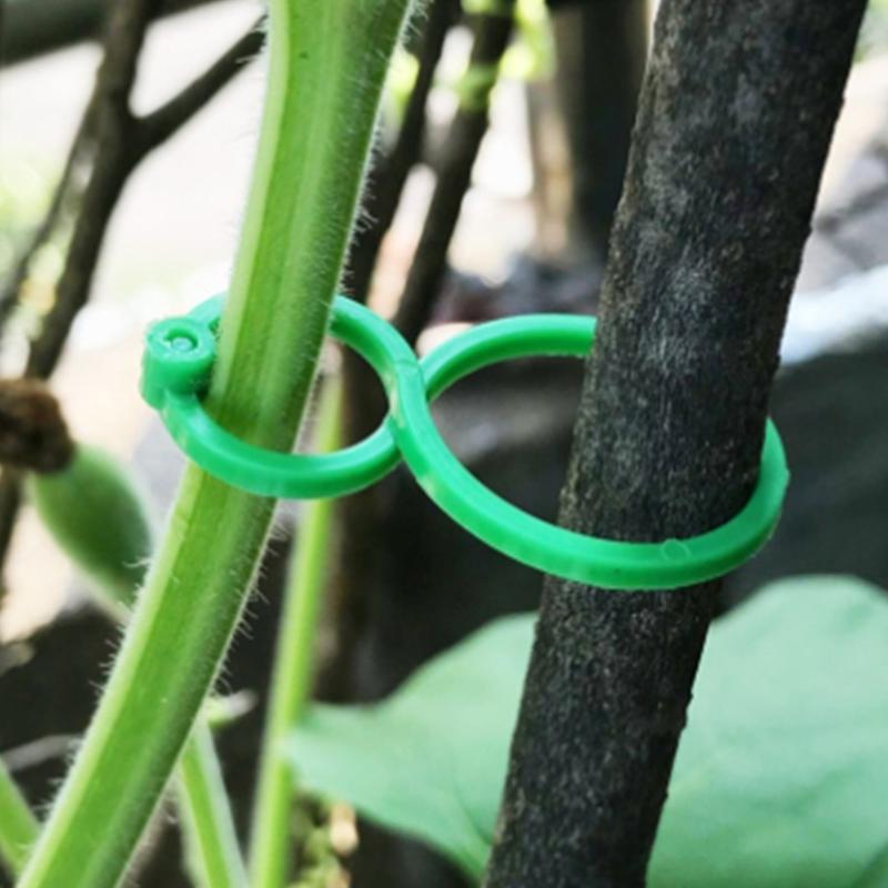 Gentle Plant Support Clips for Climbing Vine Reusable Durable Plastic Clips Tomato Cucumber Gardening Indoor Outdoor Use