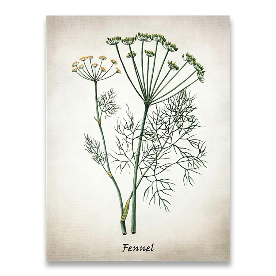 Herb Canvas Art Painting Vintage Herbal Illustrations Posters and Prints Culinary Herbs Botanical Kitchen Wall Art Picture Decor
