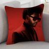 Singer The Weeknd Cute Cartoon L Game Cushion Cover Pillowcase Upholstery Sofa Throw Pillow Home Decor Pillowcas