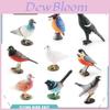Pvc Bird Magpie Pigeon Model Set With Realistic Design For Nature Decor And Collectors