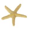 F26C 5 Pieces Aquarium Ornaments Polyresin Decor Fish for Tank Decoration Artificial Resin Ornament Set